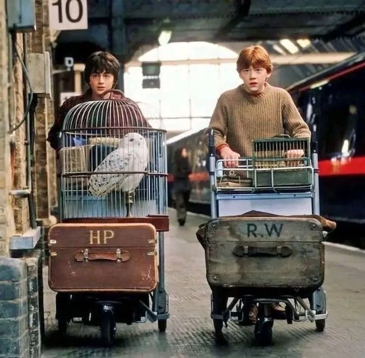 Two boys pushing luggage trolleys with an owl and a rat