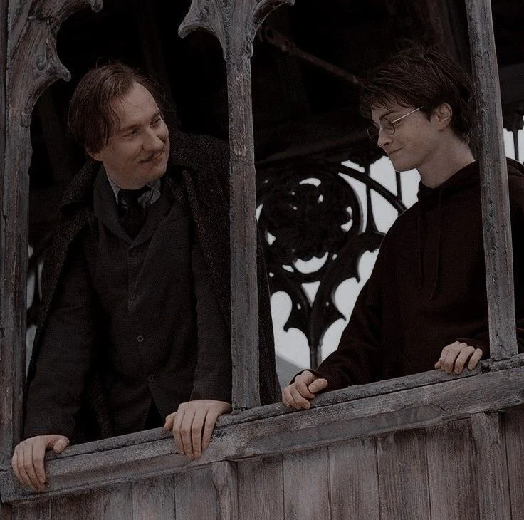 Lupin and Harry leaning on the rail of the covered bridge