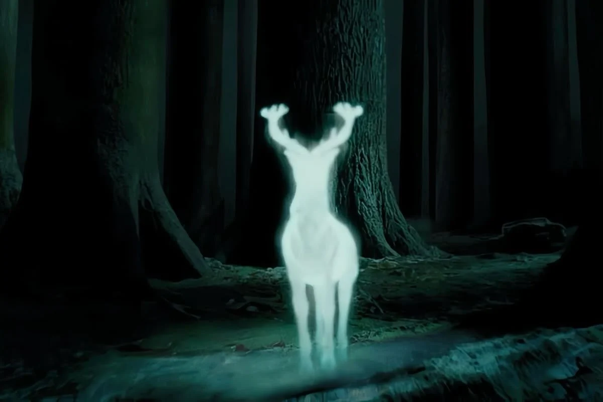 A silver stag standing among dark trees