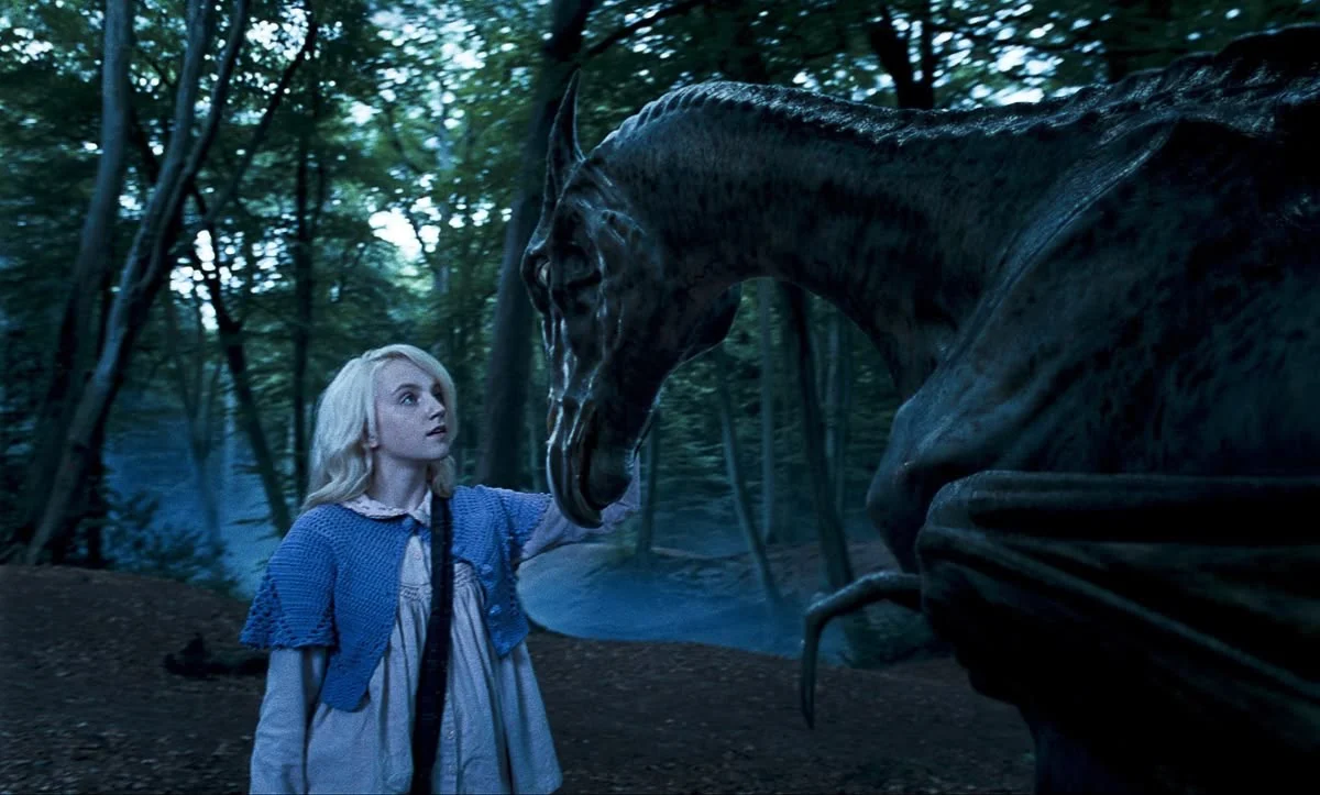 Luna touching the face of a thestral in the forest