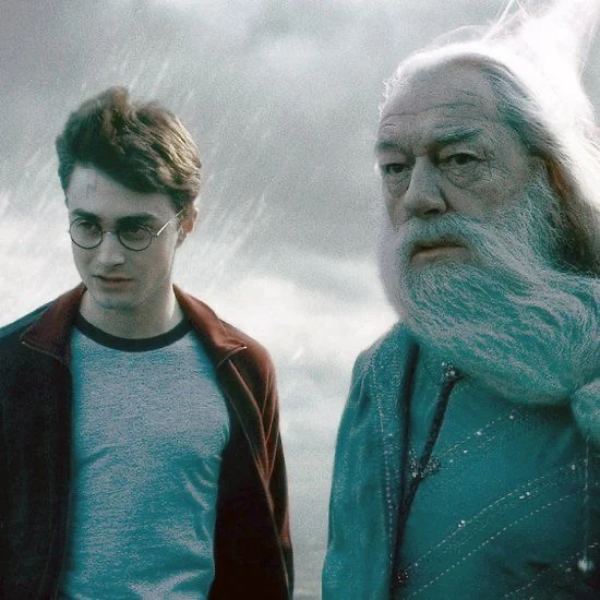 Harry and Dumbledore standing in heavy rain
