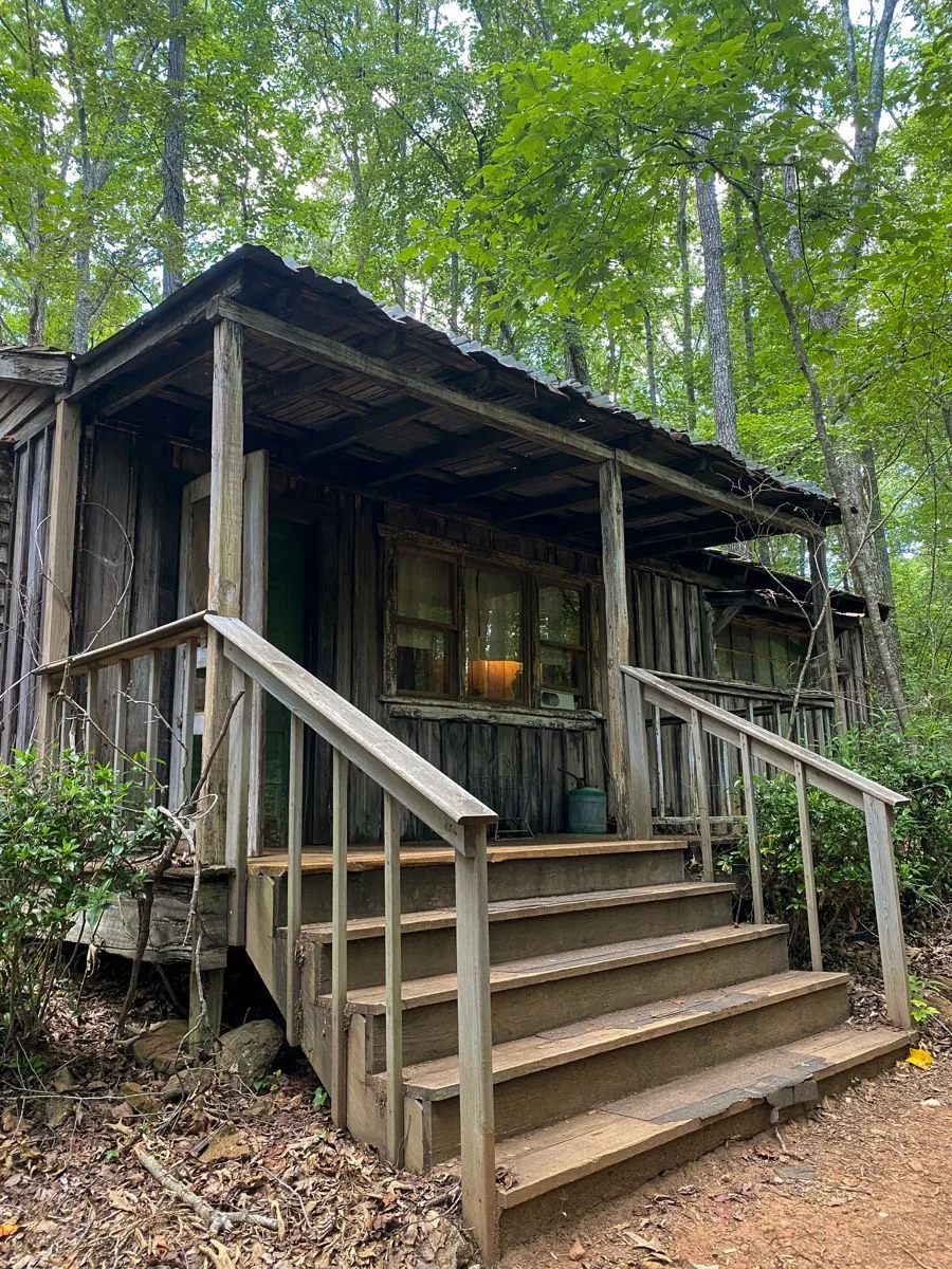 A wooden cabin with a porch, deep in green woods